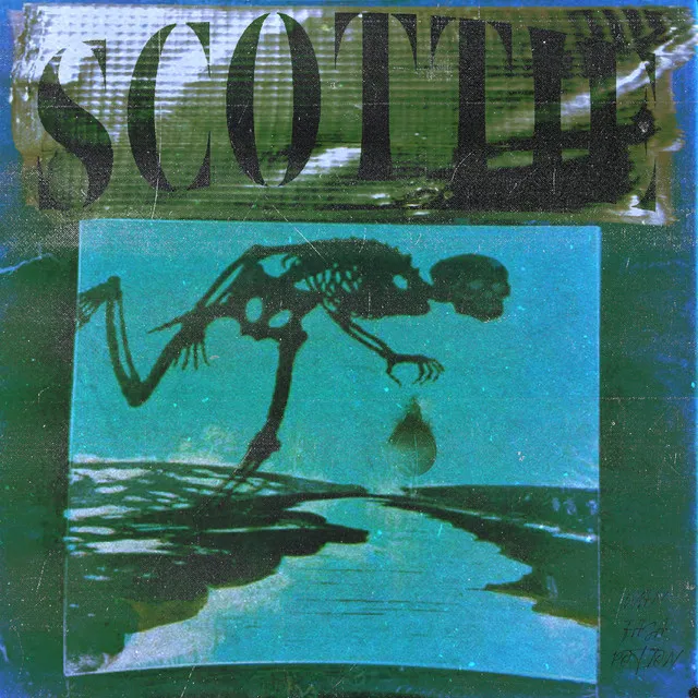 Scottie