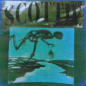 Scottie by Fasa