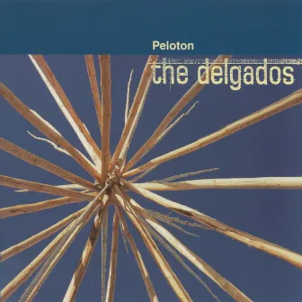 Peloton by The Delgados