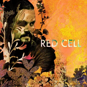 Good Morning, Good Light (Acoustic Version) by Red Cell