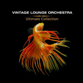 Ultimate Collection by Vintage Lounge Orchestra