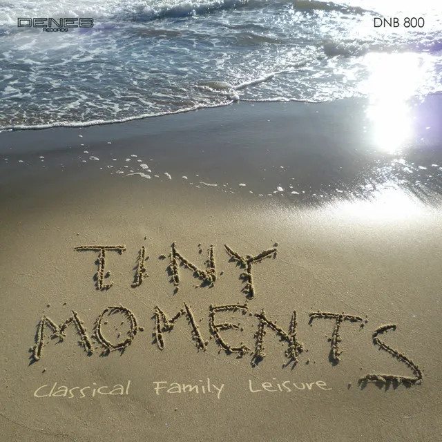 Tiny Moments (Classical Family Leisure)