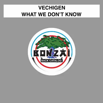 What We Don't Know by Vechigen