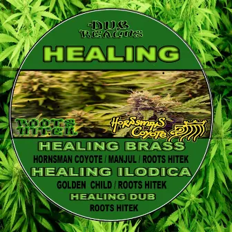 HEALING RIDDIMwise (Instrumentals) by Roots Hitek