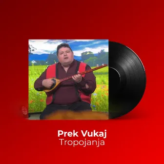 Tropojanja by Prek Vukaj