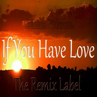 If You Have Love (Mix) by Cristian Paduraru