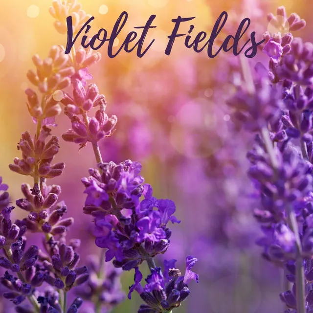 Violet Fields