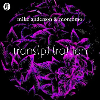 Trans(P)I(Ra)Tion by Mike Anderson