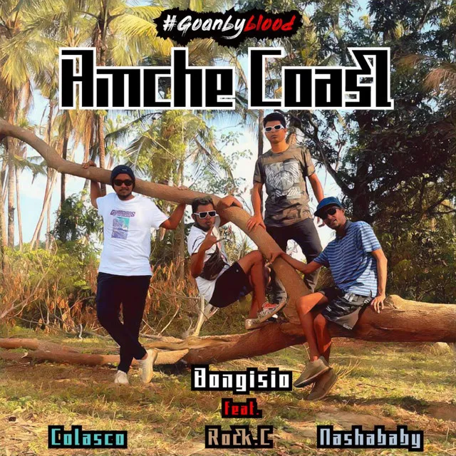 Amche Coast