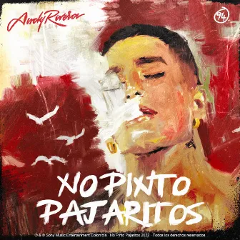 No Pinto Pajaritos by Andy Rivera