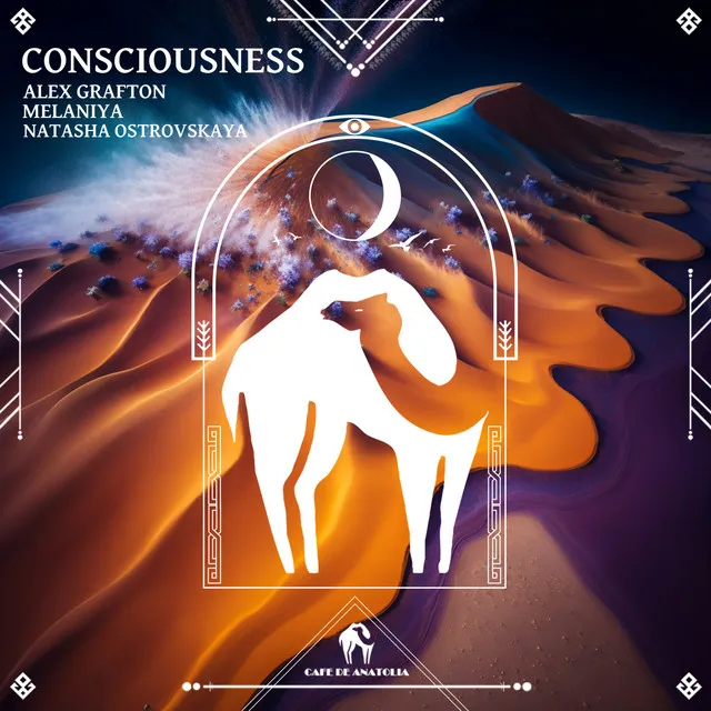 Consciousness