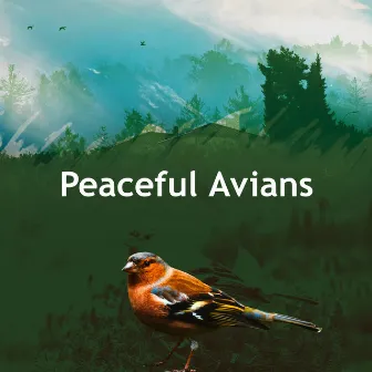 Peaceful Avians by Bird Sound Collectors