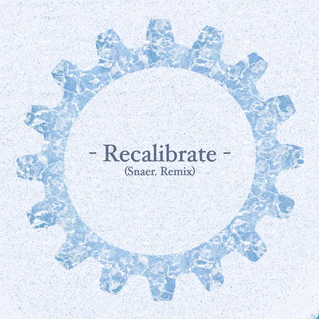 Recalibrate (Snaer. Remix)