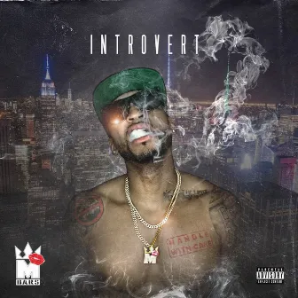 Introvert 2 by M Bars