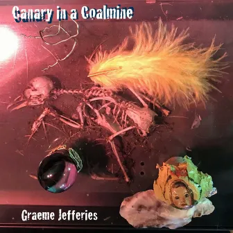 Canary in a Coalmine by Graeme Jefferies