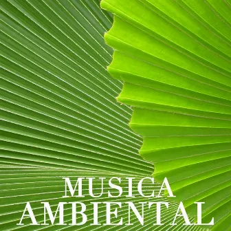 Musica Ambiental by Musica Ambiental Clube