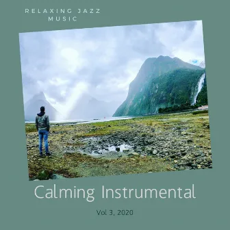 Relaxing Jazz Music, Vol. 3 by Calming Instrumental