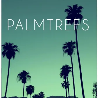 Palm Trees by Big Oz