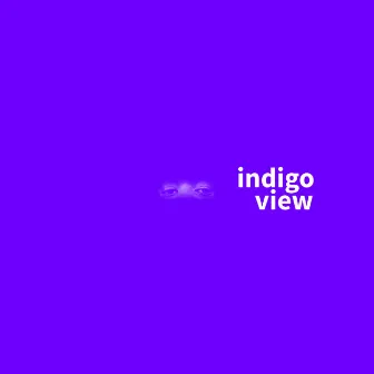 Indigo View by Bhavii.