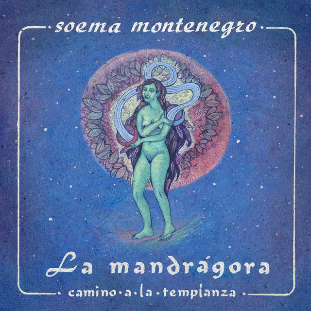 La Mandrágora