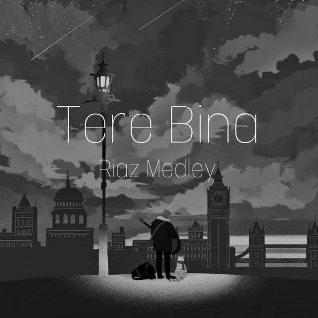 Tere Bina