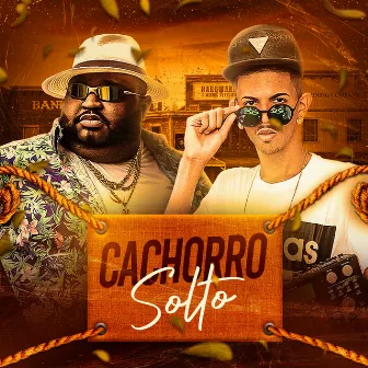 Cachorro Solto by Dj Carlitinho