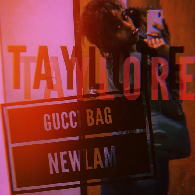 Gucci Bag, New Lam!