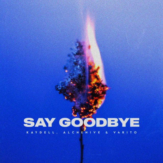 Say Goodbye