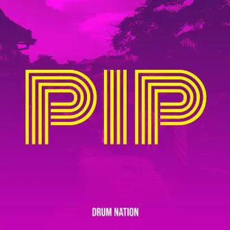 Pip by Drum Nation