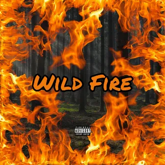 Wild Fire by Jay Legend