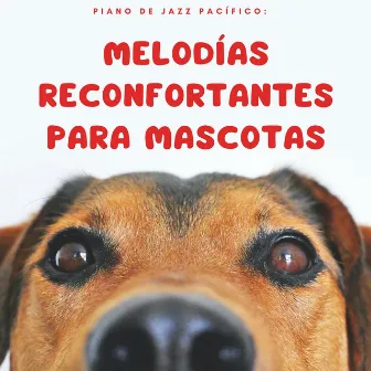 Piano De Jazz Pacífico: Melodías Reconfortantes Para Mascotas by Cuarteto de guitarras de jazz de Harlem