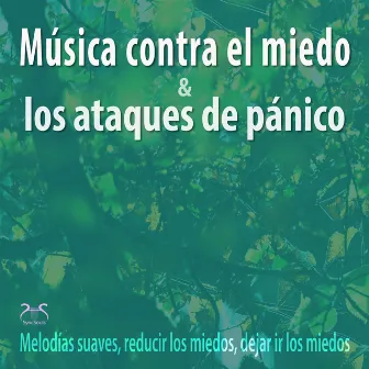 Música contra el miedo y los ataques de pánico - Melodías suaves, reducir los miedos, dejar ir los miedos by Máxi relajación