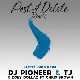 Post & Delete (Sammy Porter Mix) by DJ Pioneer