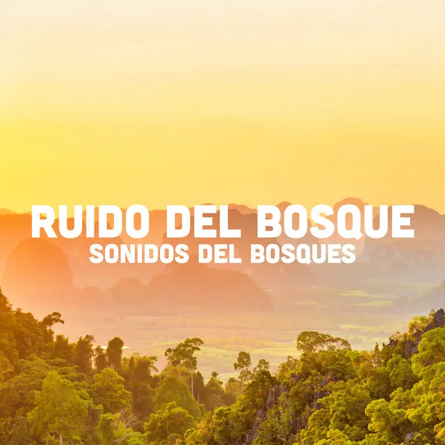 Sonidos Del Bosques