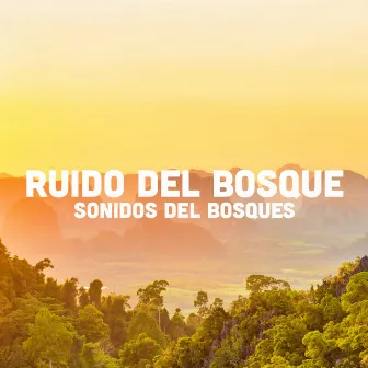 Ruido del bosque by Sonidos Del Bosques