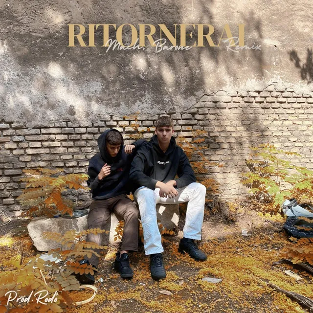 Ritornerai - RMX