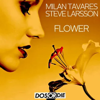 Flower by Steve Larsson