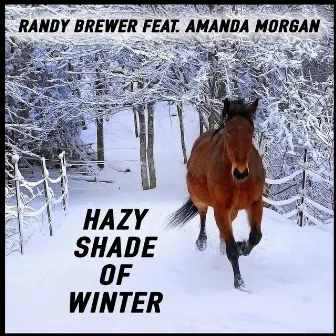 Hazy Shade of Winter (feat. Amanda Morgan) by Randy Brewer