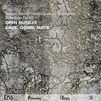 Open Music No. 2 by Tempo Reale Electroacoustic Ensemble