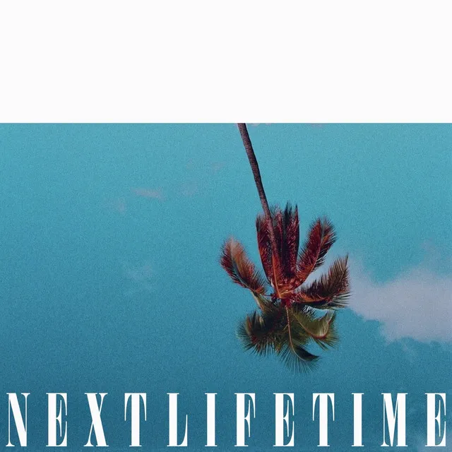 Next Lifetime