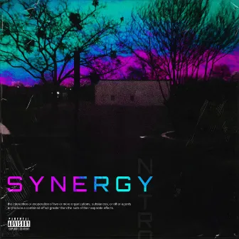 Synergy by NYTRO