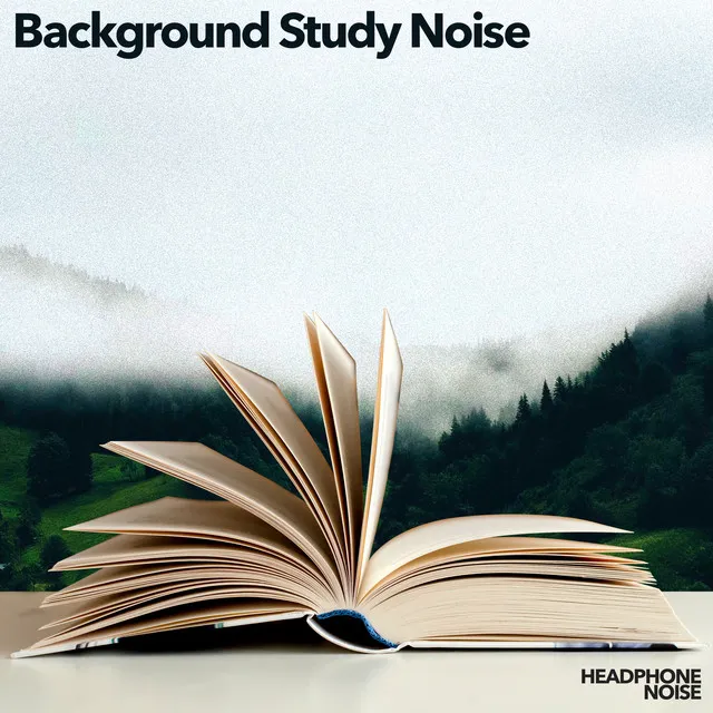 Background Study Noise