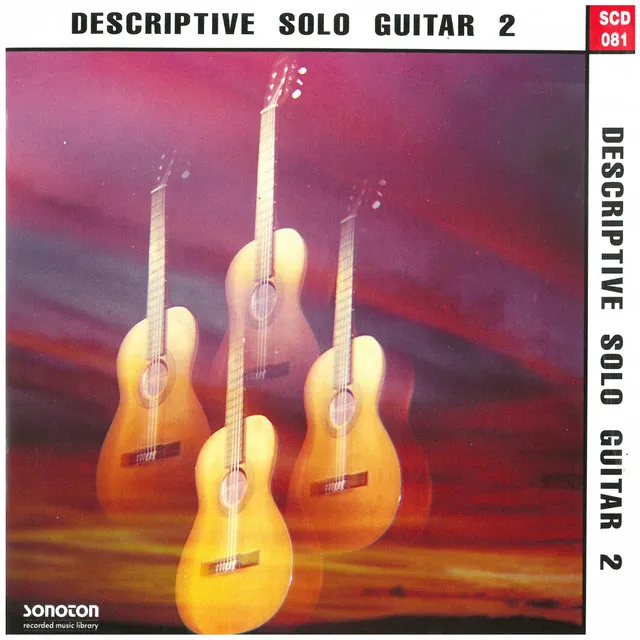 Descriptive Solo Guitar, Vol. 2