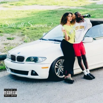 Silk All Summer 2 by BigZay