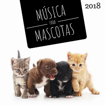 Música para Mascotas 2018 - Musicoterapia para Perros Gatos y Otros Animales Queridos by Mascotas Amor Club