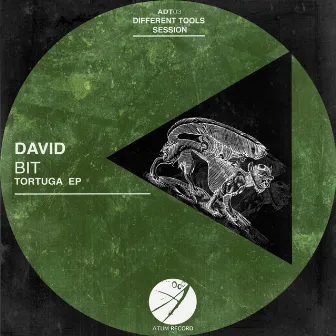 Tortuga EP by David Bit