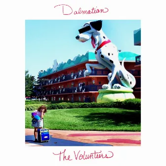 Dalmatian by The Volunteers