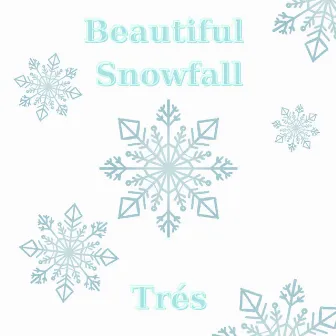 Beautiful Snowfall by Trés