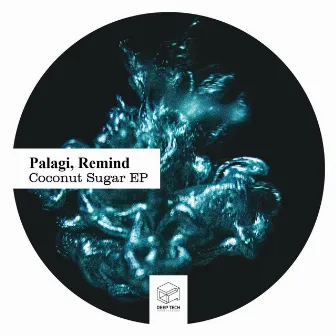 Coconut Sugar EP by Palagi