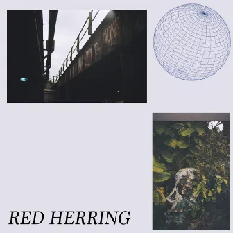 Red Herring by Cat Café